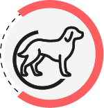 SANO
